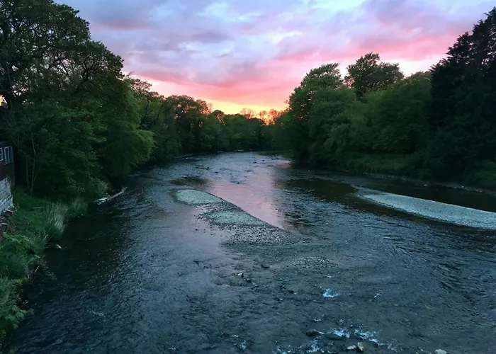 1 Bed In Oc-87480 Lejlighed *